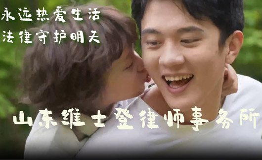 山东维士登律师事务所官网上线！